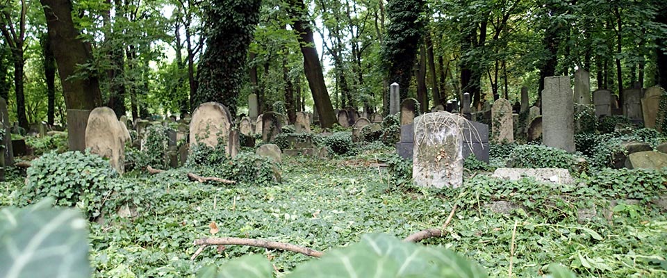 Krakow Walking Tours - jewish cemetery